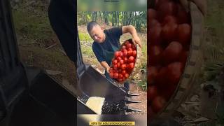 Making food in the JCB bucket 🥙 [upl. by Laing]