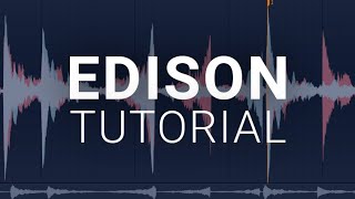 How To Use The Edison  FL Studio Tutorial [upl. by Wadleigh]