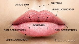 The Secret to Natural and Beautiful Lips  with Dr Bouzoukis [upl. by Leipzig]