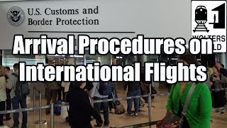 What is the Arrival Procedure on an International Flight [upl. by Moriah]