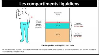 Physiologie du milieu intérieur  Partie 1 [upl. by Neuburger]