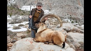 BEZOAR IBEX HUNTING TURKISH FRONTIER  ÖZHAN ARSLAN [upl. by Fe522]