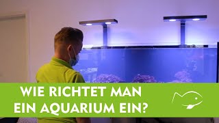 Meerwasseraquarium für Anfänger  Kevins Aquarium einrichten  Aquatop [upl. by Nidnal434]