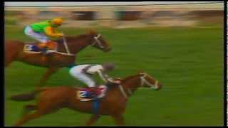 1986 Cox Plate Bonecrusher vs Our Waverley Star [upl. by Gunther]