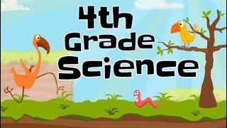 4th Grade Science Compilation [upl. by Gibbons316]