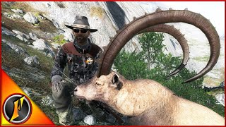 Ibex Hunt  3 Trophy Ibex in theHunter Classic [upl. by Atirhs]