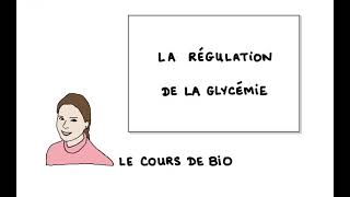 La régulation de la glycémie [upl. by Alfred]