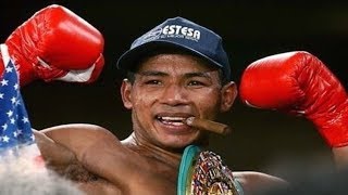 Ricardo Mayorga  Highlights  Knockouts [upl. by Erickson342]