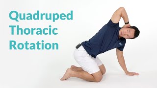 Quadruped Thoracic Rotation for Spine Mobility [upl. by Nerraw]