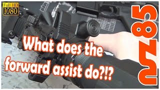 AR15  Forward Assist and What Its For [upl. by Ard661]