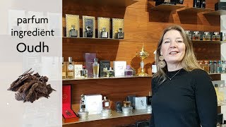 Oud agarwood as perfume ingredient explained by the Perfume Lounge  our best oud fragrances [upl. by Ayaj877]