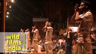 Group of Hindu priests blowing Turbinella pyrum conch during Ganga Aarti puja Varanasi [upl. by Noiz]