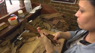 How Cigars Are Made at TABANERO CIGAR FACTORY  WildTravelsTVcom [upl. by Onitram]