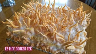 HOW TO GROW CORDYCEPS MUSHROOMS Tips and Tricks from Start to Finish Cordyceps militaris [upl. by Cozmo66]