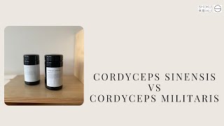 Cordyceps Sinensis vs Cordyceps Militaris [upl. by Fulcher]