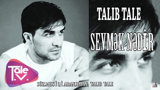 Talıb Tale  Sevmək Nədir [upl. by Aratahs]