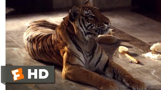 Wildlife  Episode 1 Tiger Lion Leopard amp Jaguar  The Four Big Cats  Free Documentary Nature [upl. by Amoihc]