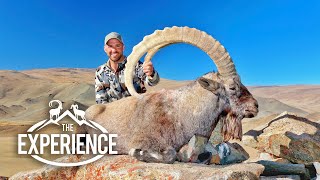 Mountain Hunting Mongolia Ibex [upl. by Tychon629]