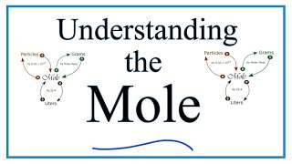 Understanding the Mole the basics [upl. by Celestyna81]