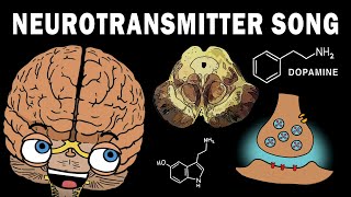 THE NEUROTRANSMITTER SONG [upl. by Neddie]