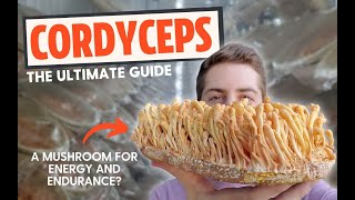 Zombie Fungus or Energy Mushroom The Ultimate Guide To Cordyceps [upl. by Chinua]