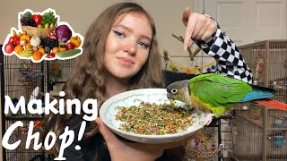 MAKE PARROT CHOP WITH ME  how to make bird food [upl. by Adnilab]