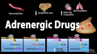 Adrenergic Drugs  Pharmacology Animation [upl. by Amimej]