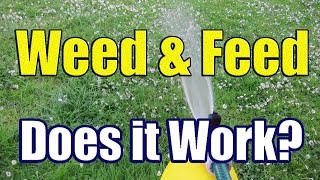 How to Apply Liquid Weed N Feed The Results of Weed and Feed with DaznDi Properties [upl. by Nytsirt]