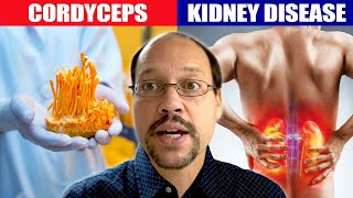 Cordyceps and Kidney Disease Herbal Remedies For Kidney Disease Cordyceps Mushroom Herbs and CKD [upl. by Killie792]