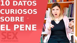 Todo sobre EL PENE 10 Datos curiosos 🍌 Lo que debes saber sobre los genitales masculinos [upl. by Dante344]