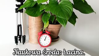 Naukowa Środa 1 Łacina  jak czytać trudne nazwy łacińskie roślin  Rhaphidophora i inne [upl. by Auqenahc167]