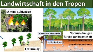 Landwirtschaft in den Tropen Zusammenfassung  Erdkunde Oberstufe Abitur [upl. by Cowles]