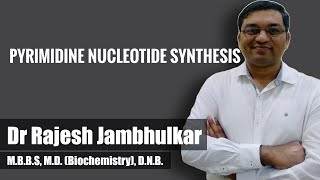 Pyrimidine nucleotide synthesis and degradation [upl. by Bamby884]