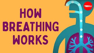 How breathing works  Nirvair Kaur [upl. by Umeh304]