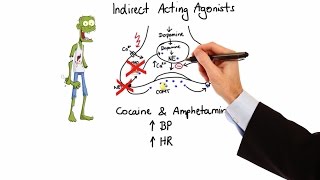 Pharmacology  ADRENERGIC RECEPTORS amp AGONISTS MADE EASY [upl. by Tunnell165]