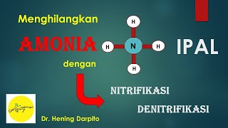 NITRIFIKASI n DENITRIFIKASI Mengolah AMONIA [upl. by Ninaj217]