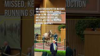 Auction Bidspotter  Keeneland Sales [upl. by Alda]