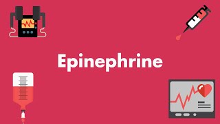 Epinephrine  Vasopressors amp Inotropes  MEDZCOOL [upl. by Junna]