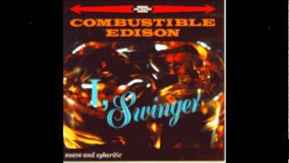 Theme from the Tiki Wonder Hour  Combustible Edison [upl. by Asirac]