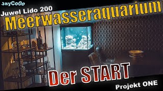 Start Meerwasseraquarium  Die ersten Schritte  Meerwasseraquarium einrichten [upl. by Arramat]