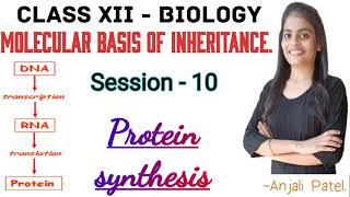 Class XII Biology  Molecular basis of inheritance  Protein Synthesis [upl. by Peedus]