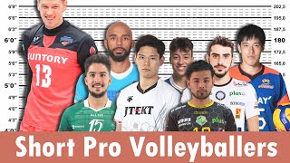 7 Short Pro Volleyball Players That Are Still Beasts [upl. by Nnylhtak]