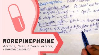 NOREPINEPHRINE  Actions Uses Pharmacokinetics adverse effects PHARMACOLOGY [upl. by Luedtke]