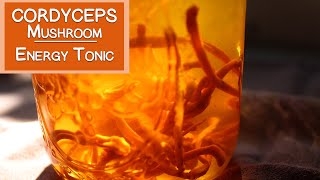 Cordyceps Mushroom Benefits as an Energy Tonic [upl. by Icnan]