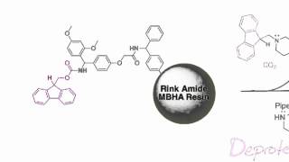 Fmoc Solid Phase Peptide Synthesis [upl. by Glenine]