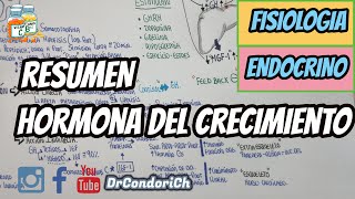 RESUMEN Hormona del Crecimiento [upl. by Elleinnad]