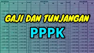 RINCIAN GAJI DAN TUNJANGAN PPPK 2022 TERBARU [upl. by Tallbott29]