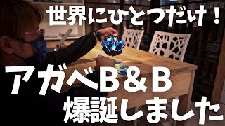 【初vlog】世界にひとつだけ！アガベブラックアンドブルー爆誕しました！ [upl. by Maker]