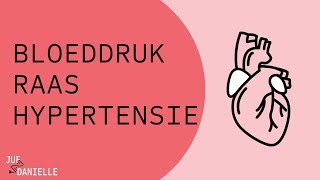 Bloeddruk RAAS en hypertensie [upl. by Saidee]