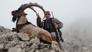 BEZOAR IBEX HUNTING YABAN KEÇİSİ AVI OKAY BARAN RECEP ECER [upl. by Utir]